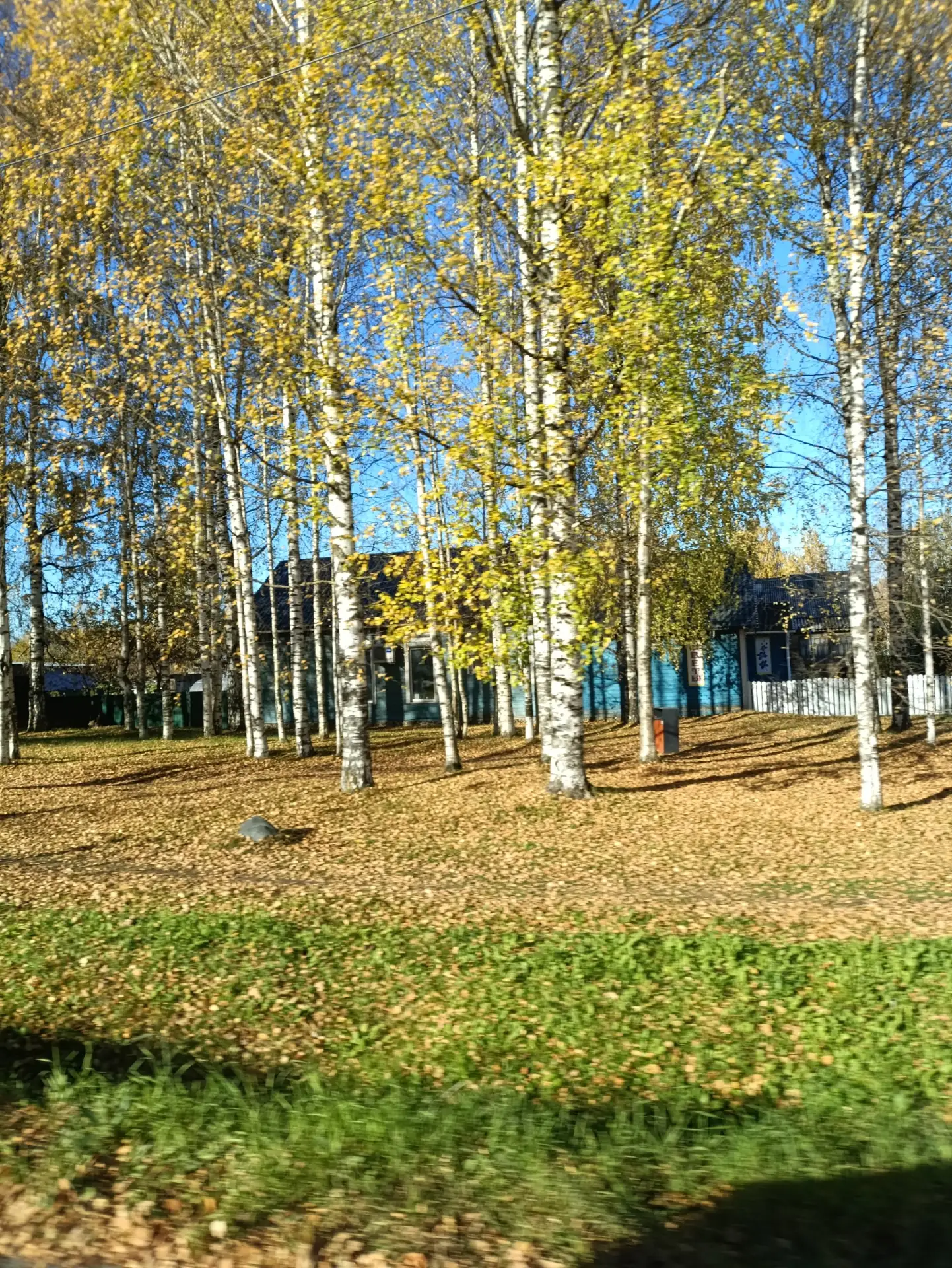 Золотая осень в городе ...🍁🍁🍁