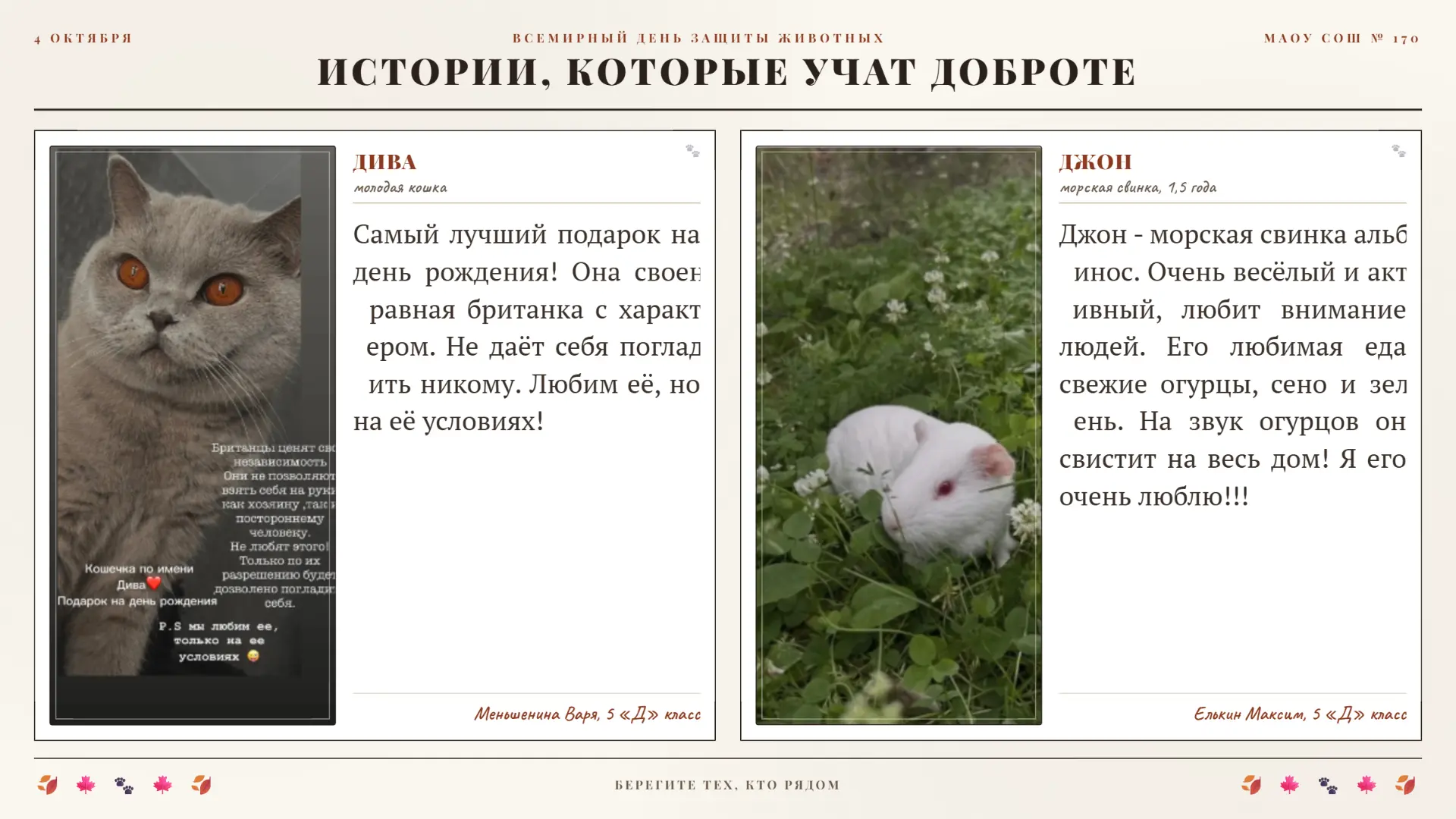 🐾ВСЕМИРНЫЙ ДЕНЬ ЗАЩИТЫ ЖИВОТНЫХ. Часть 2🐾