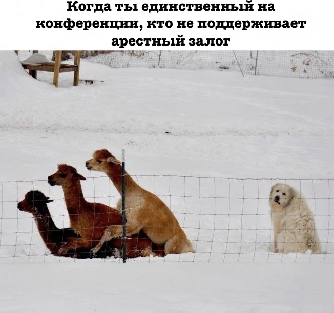 Не дискуссии ради, а хайпа для🙂