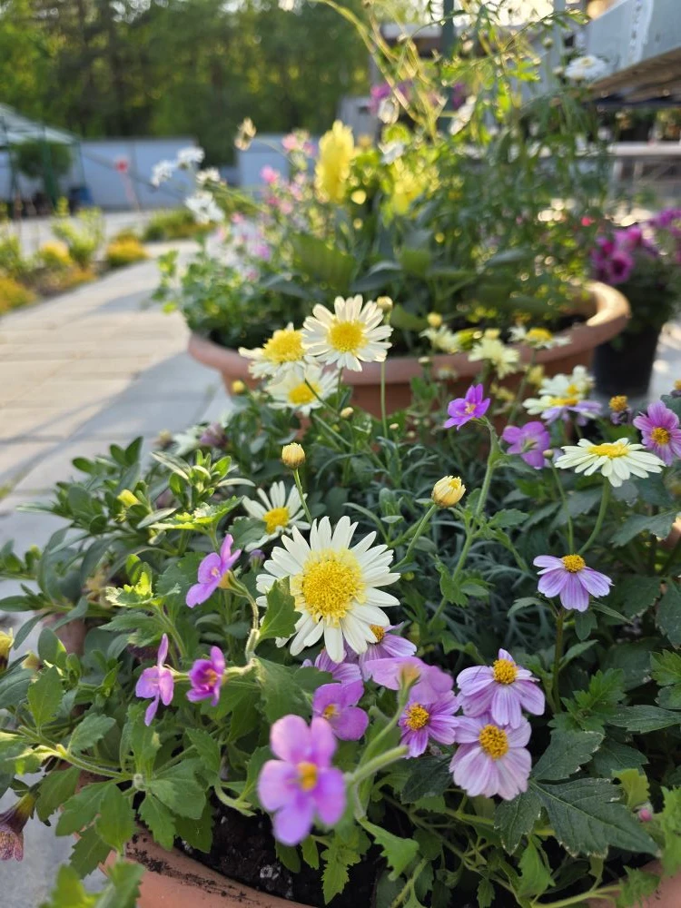 Бесконечный простор для творчества. Люблю свою работу 🌱😍
