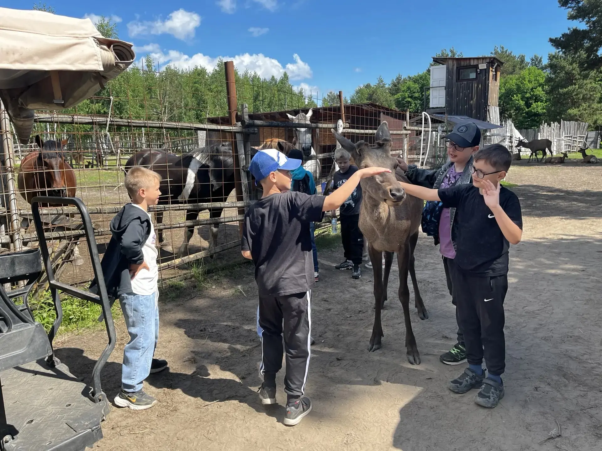 🦌Путешествие 3В класса в сафари‑парк «Кречет»☀️  😊25 мая обучающиеся  3В класса отправились в увлека