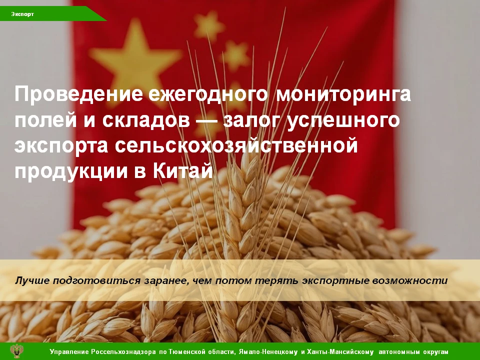 🌾 Экспорт зерна в Китай: важные требования для аграриев