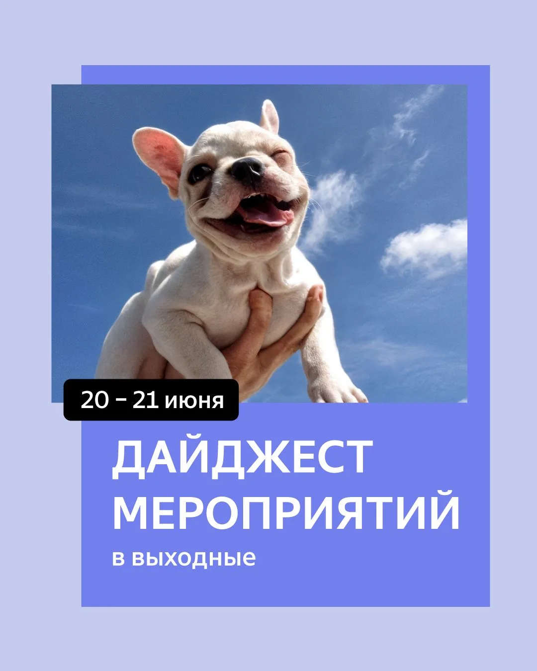 Приглашаем на мероприятия в эти выходные🌸

20 июня
📍Москва, 12:00-18:00
Выставка-пристройство коше