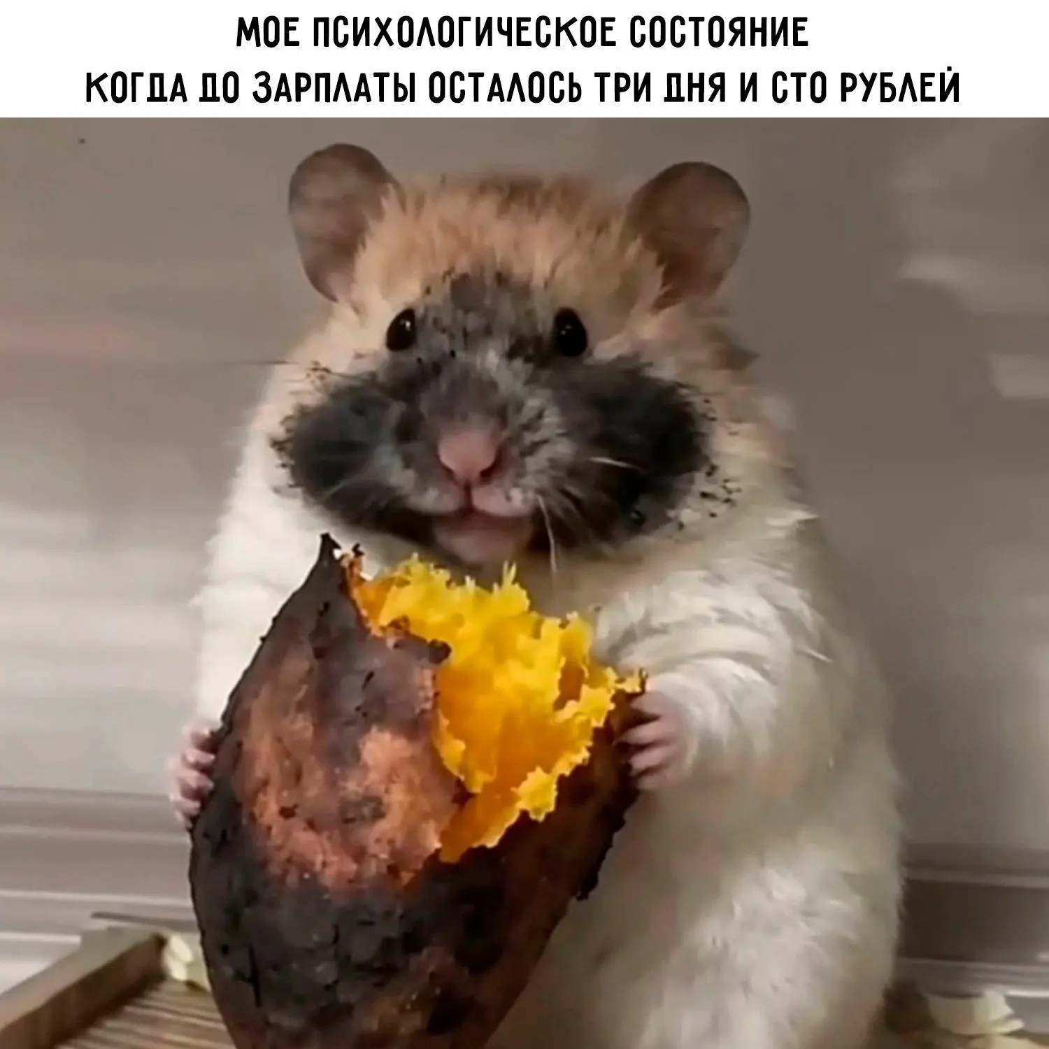 Ставь лайк! ❤️