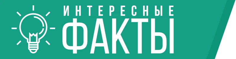 Как понять, что человек вам врёт: 5 признаков, на которые стоит обратить внимание