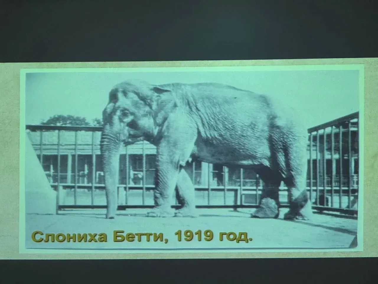 19 февраля в 3 «Б» классе прошло необычное и очень интересное занятие! К ребятам в гости приехал Лен