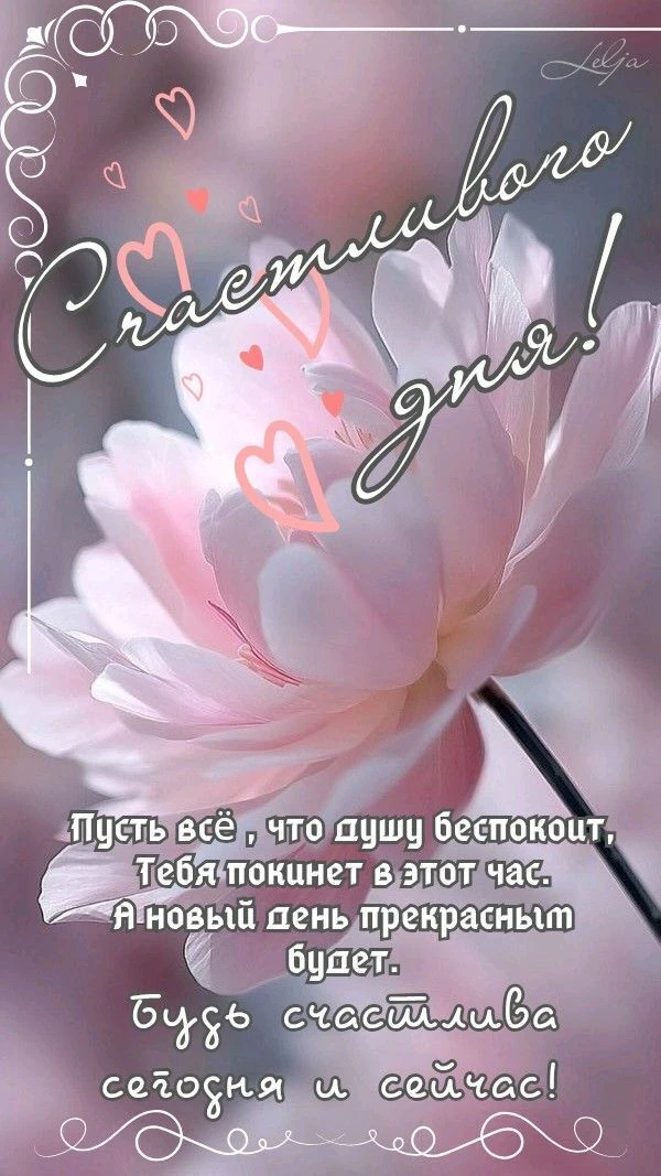 Открытки в ТГ
Открытки в МАХ