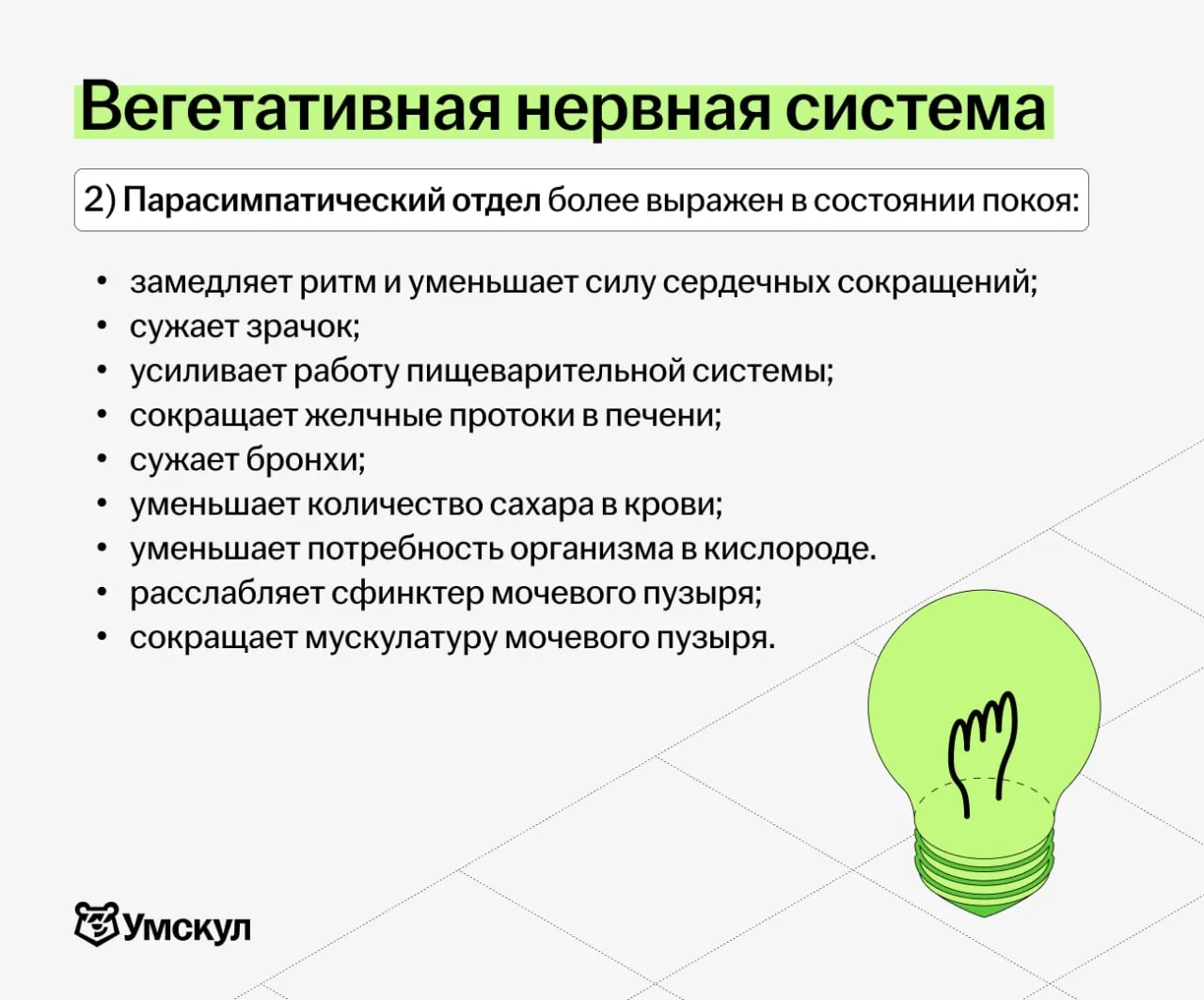 вегетативная нервная система