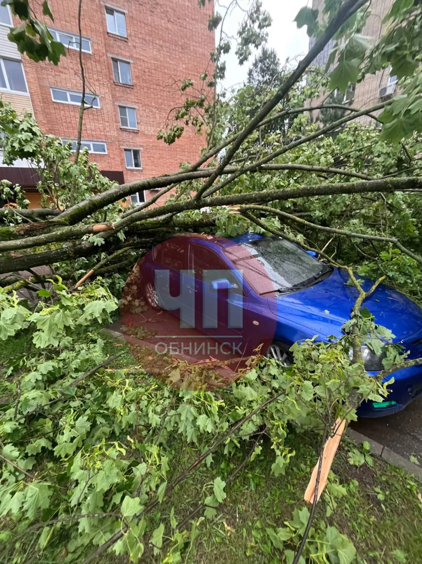 От подписчика: