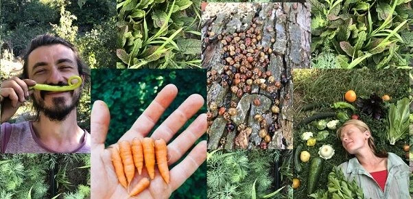 Почему важны мелкие и средние органические фермеры