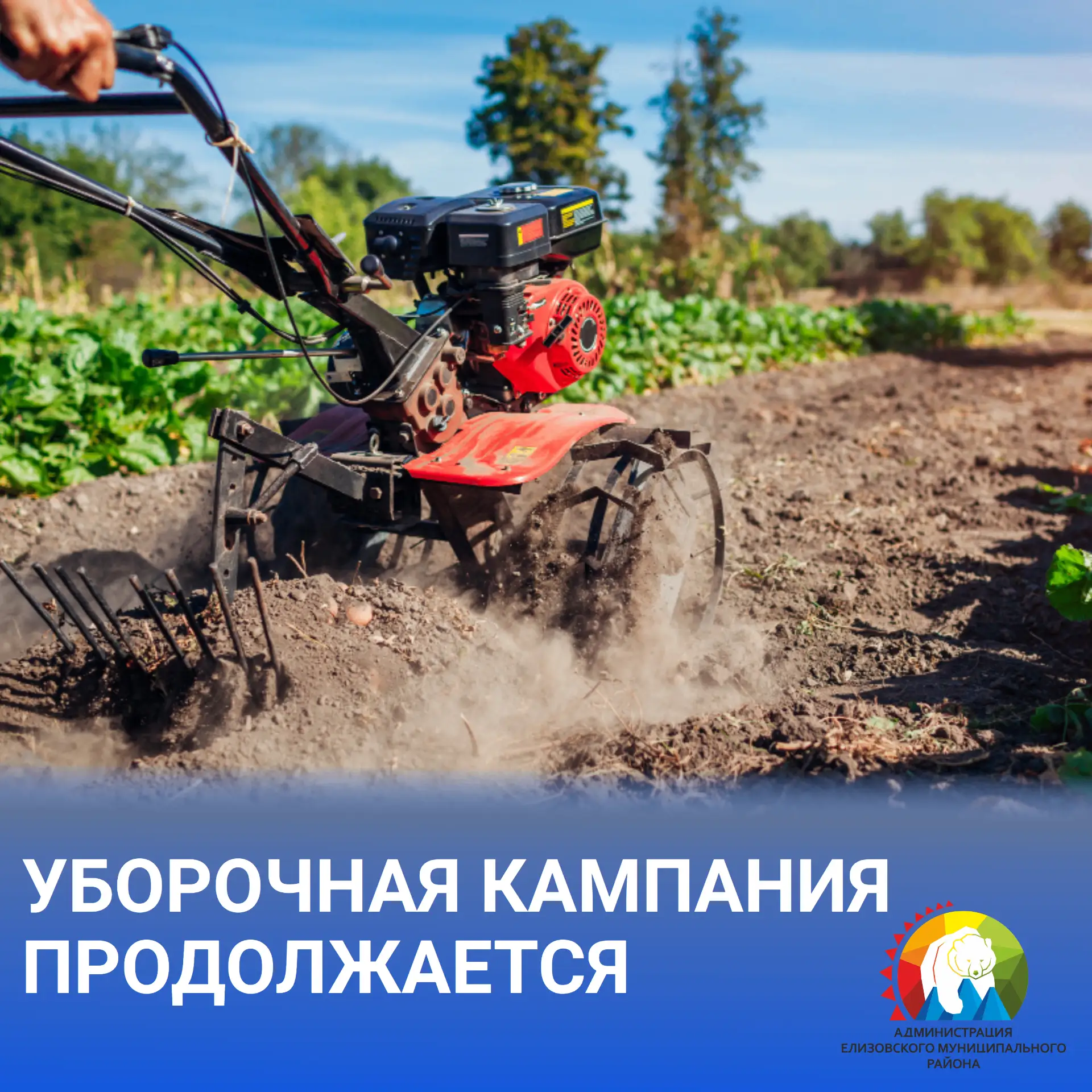 Заготовка кормов для крупного рогатого скота продолжается в сельхозпредприятиях Елизовс...