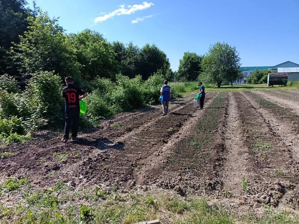 9 июня: кипит работа на пришкольном участке! 🌱Сегодня на нашем пришкольном участке цар...