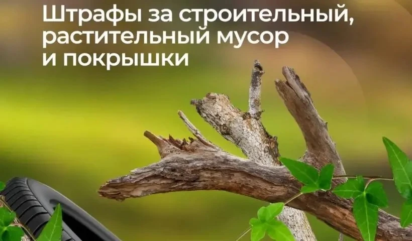 ✅ООО «МСК-НТ»: не все отходы можно складировать на контейнерных площадках