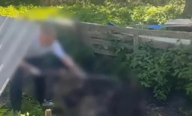 Убил и закопал во дворе.