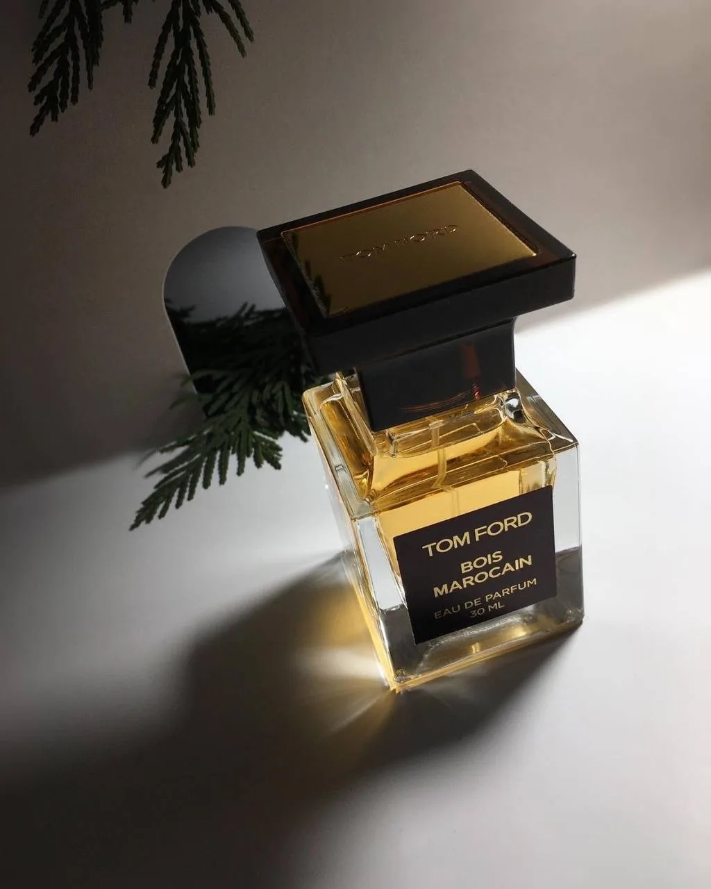 😶‍🌫️⚡️ Casamorati Lira от Xerjoff — совершенное сочетание тёплых и сладких нот с сочн...