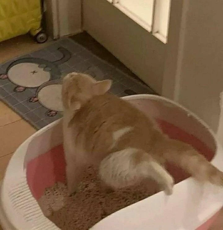 А что, удобно🫠