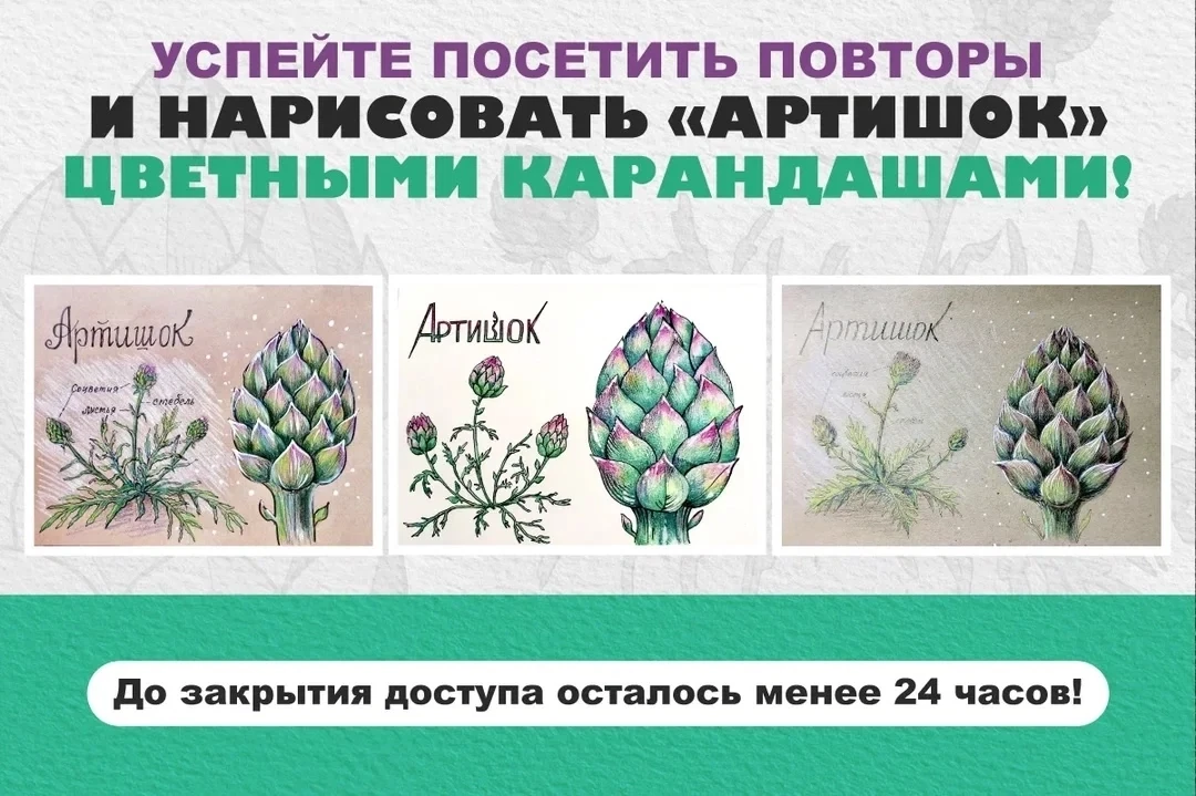 ⏳ СМОТРИТЕ СЕГОДНЯ: последний повтор МК «Артишок». Вебинара по ботаническому скетчингу больше не буд