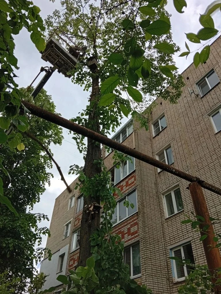 Уважаемые подписчики!