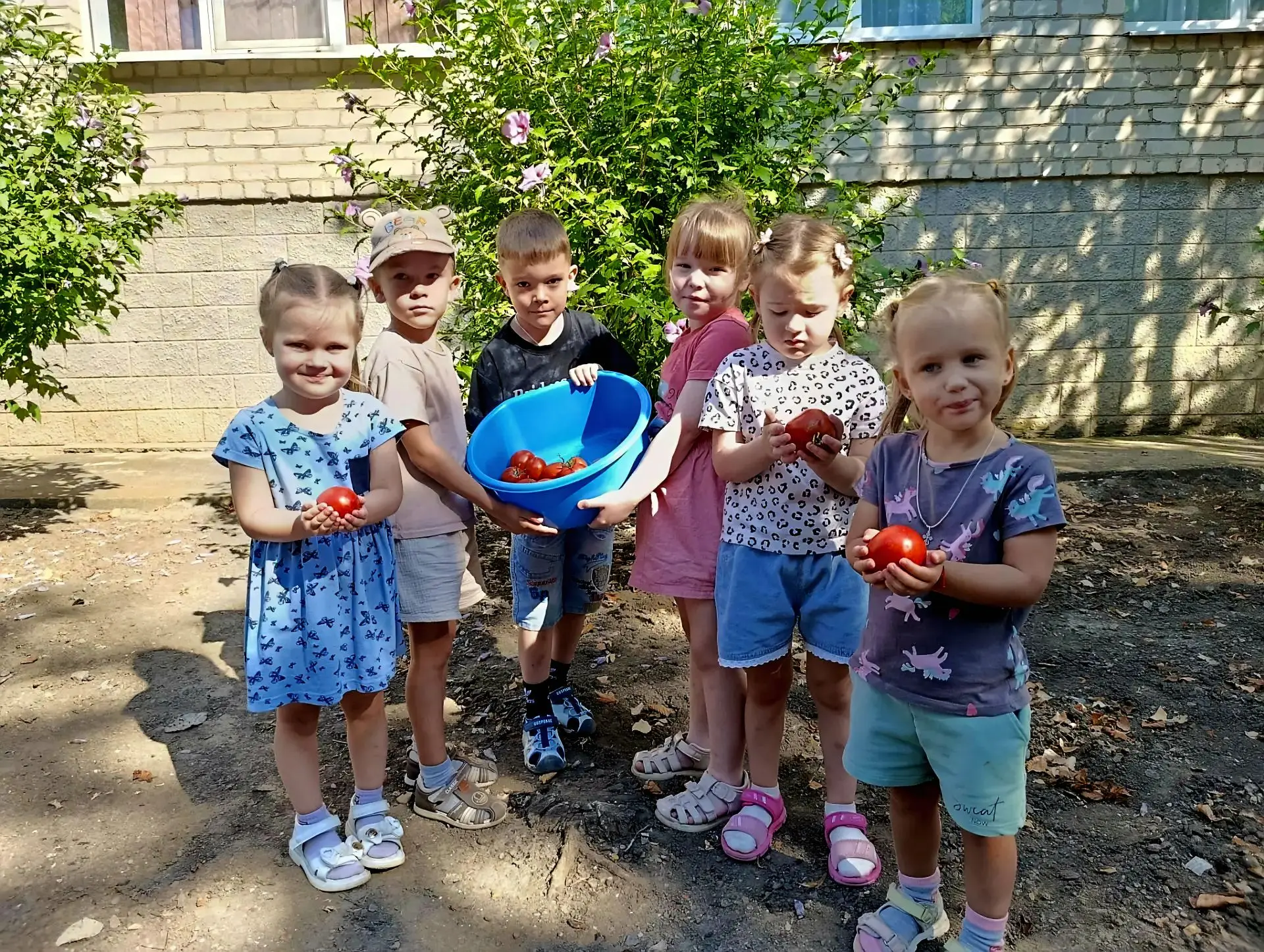 Операция «Спелый томат» успешно завершена! 🕵️‍♂️🍅
