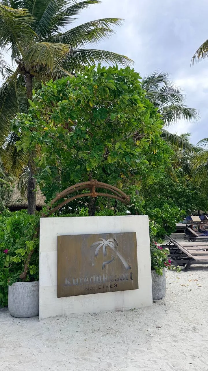 KUREDU 4🌟