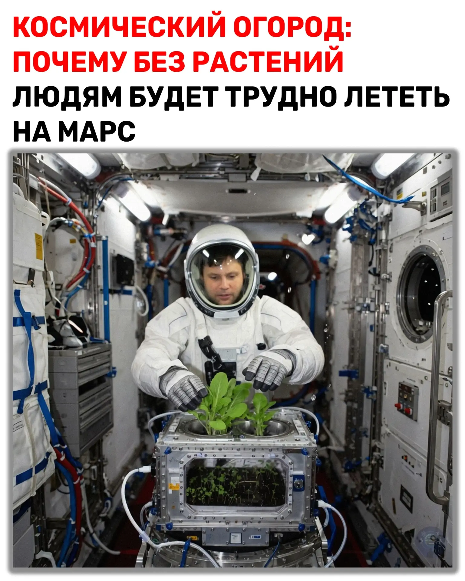 🌱 На Международной космической станции сейчас исследуют очень земной процесс: как обеспечить нормал
