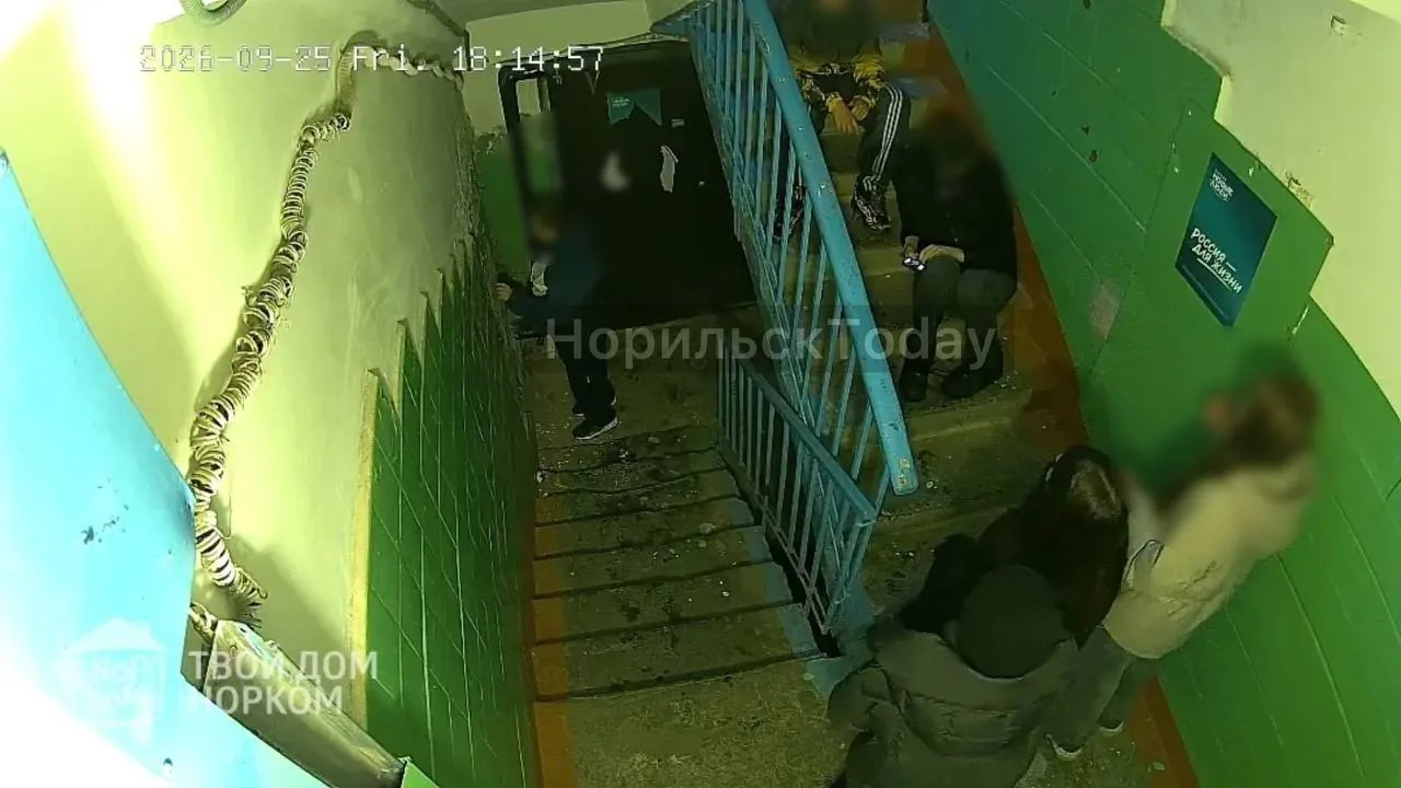 «Пришли данные малолетние вандалы и разнесли подбъезд. Курили в подьезде, стало скучно,...