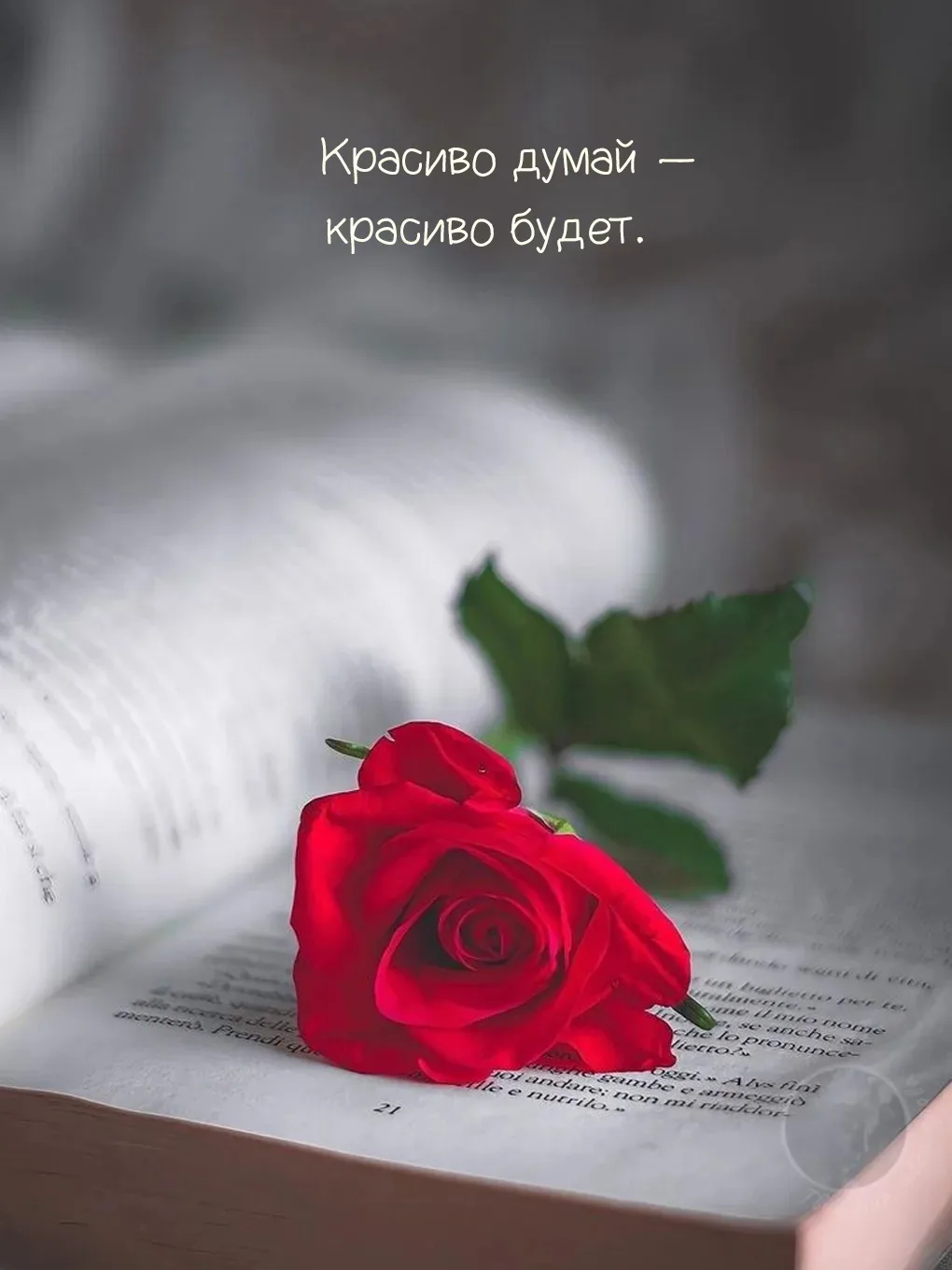 ✨Возьмите в привычку✨

Думать об успехе, счастье, здоровье и благополучии. Гоните прочь сомнения и с
