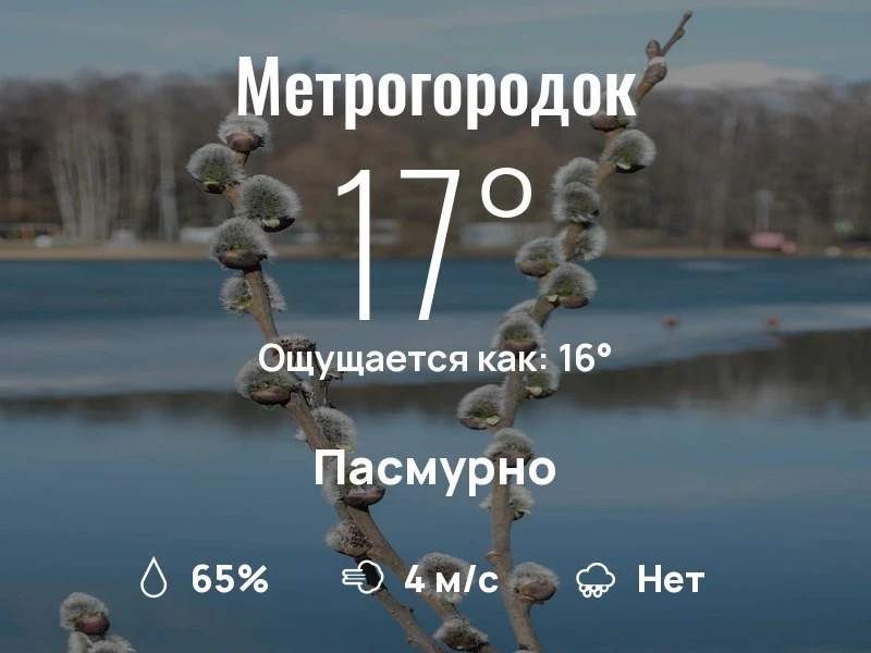 Что с погодой в Метрогородке?