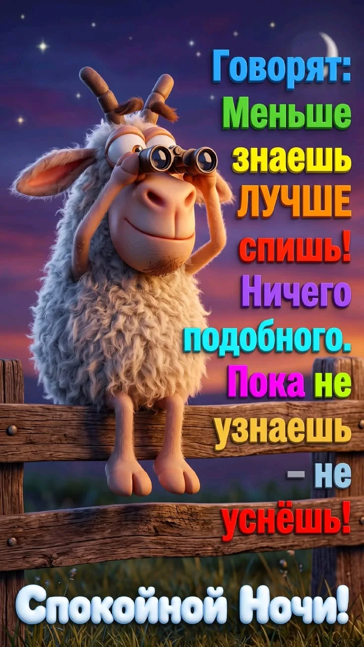 Доброй ночи 🥱 😴