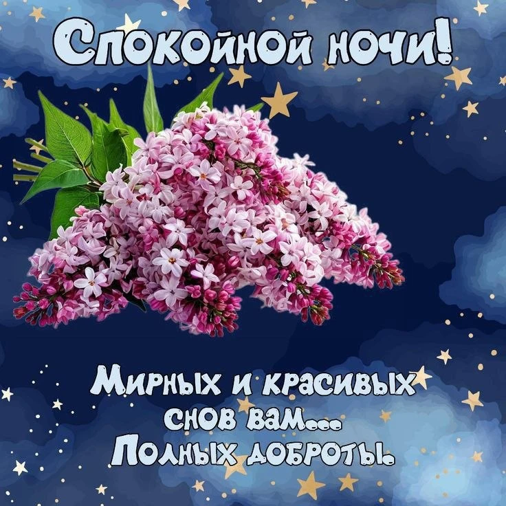 🩵🌸🌿🩵🌸🌿🩵🌸🌿 

Дорогие друзья, спокойной, тихой и безмятежной ночи! Пусть приснятся лишь добры