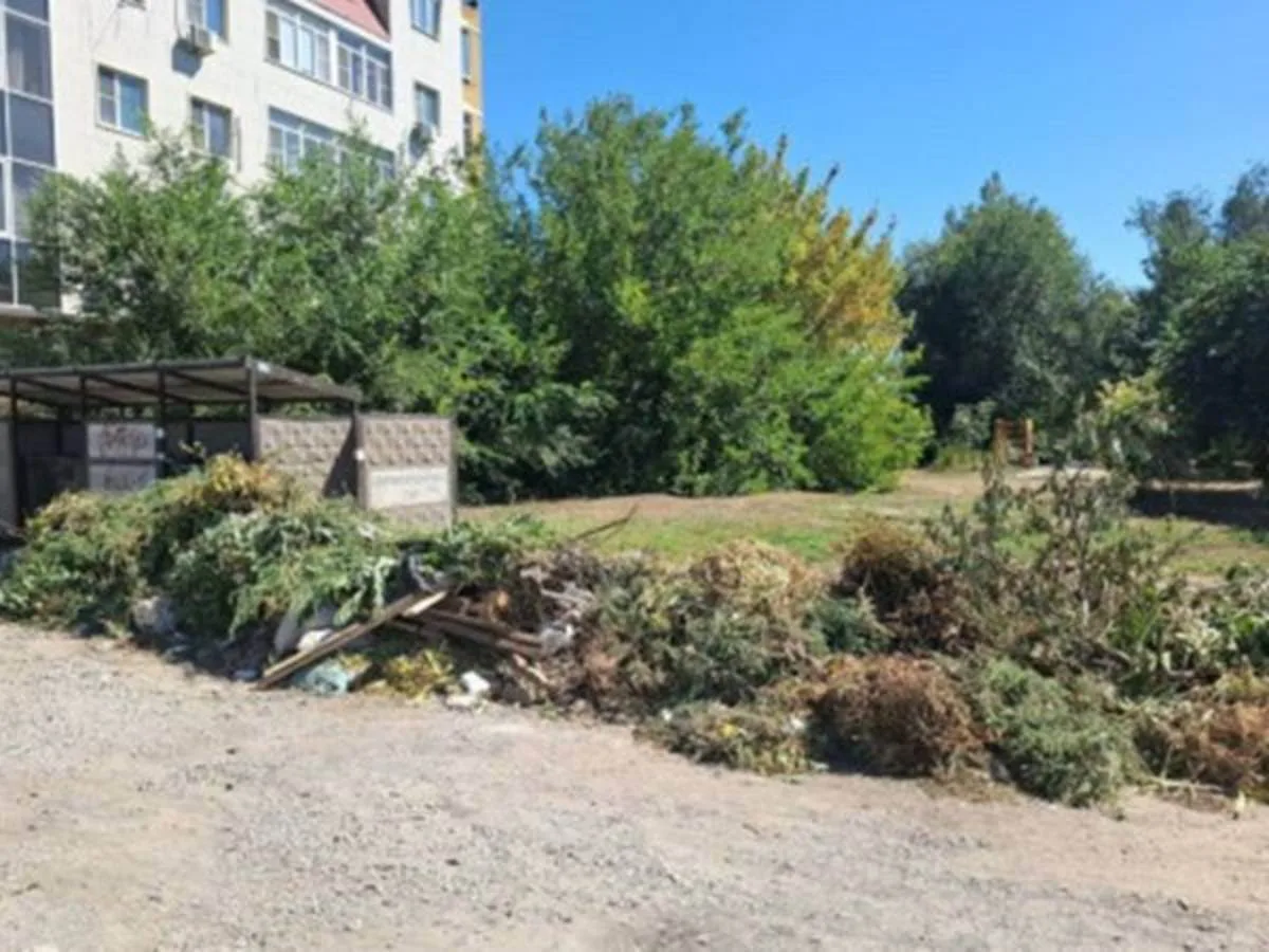 Жителям Шахт некуда сдавать ветки, шины и батарейки  Как пояснил на комитете в городской Думе директ