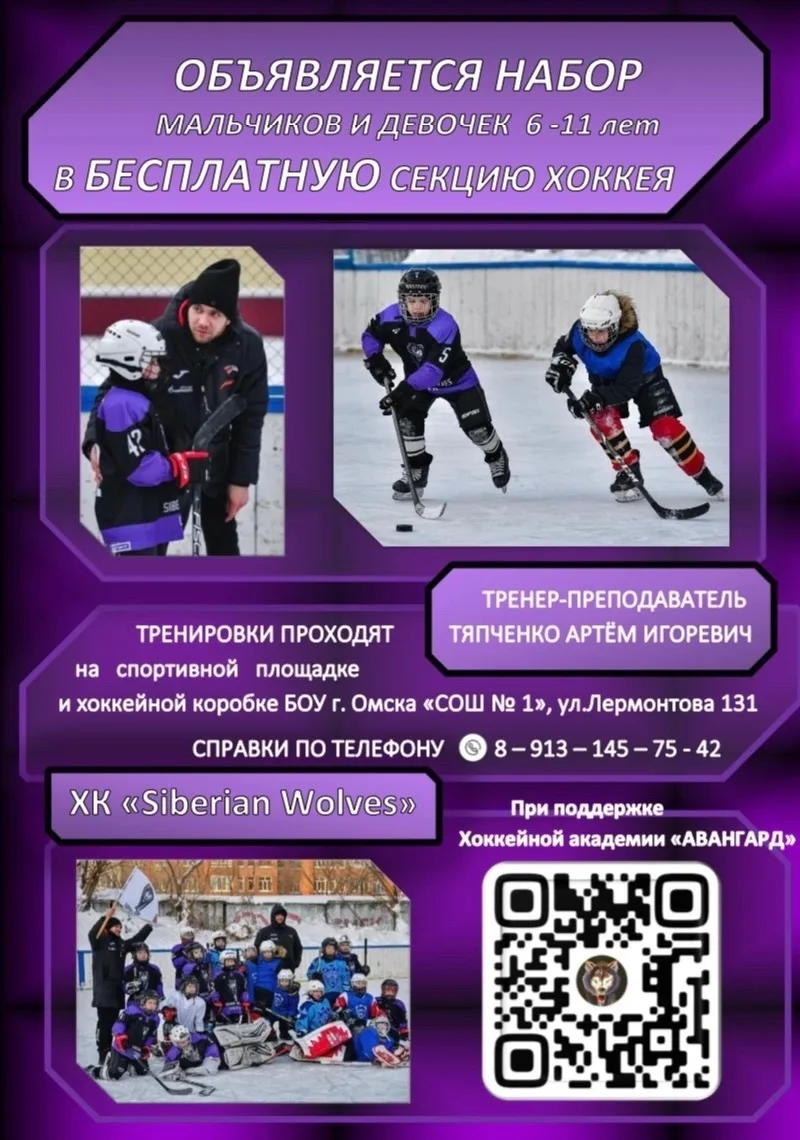 Добрый день , наша школьная команда «Siberian wolves» 💜
