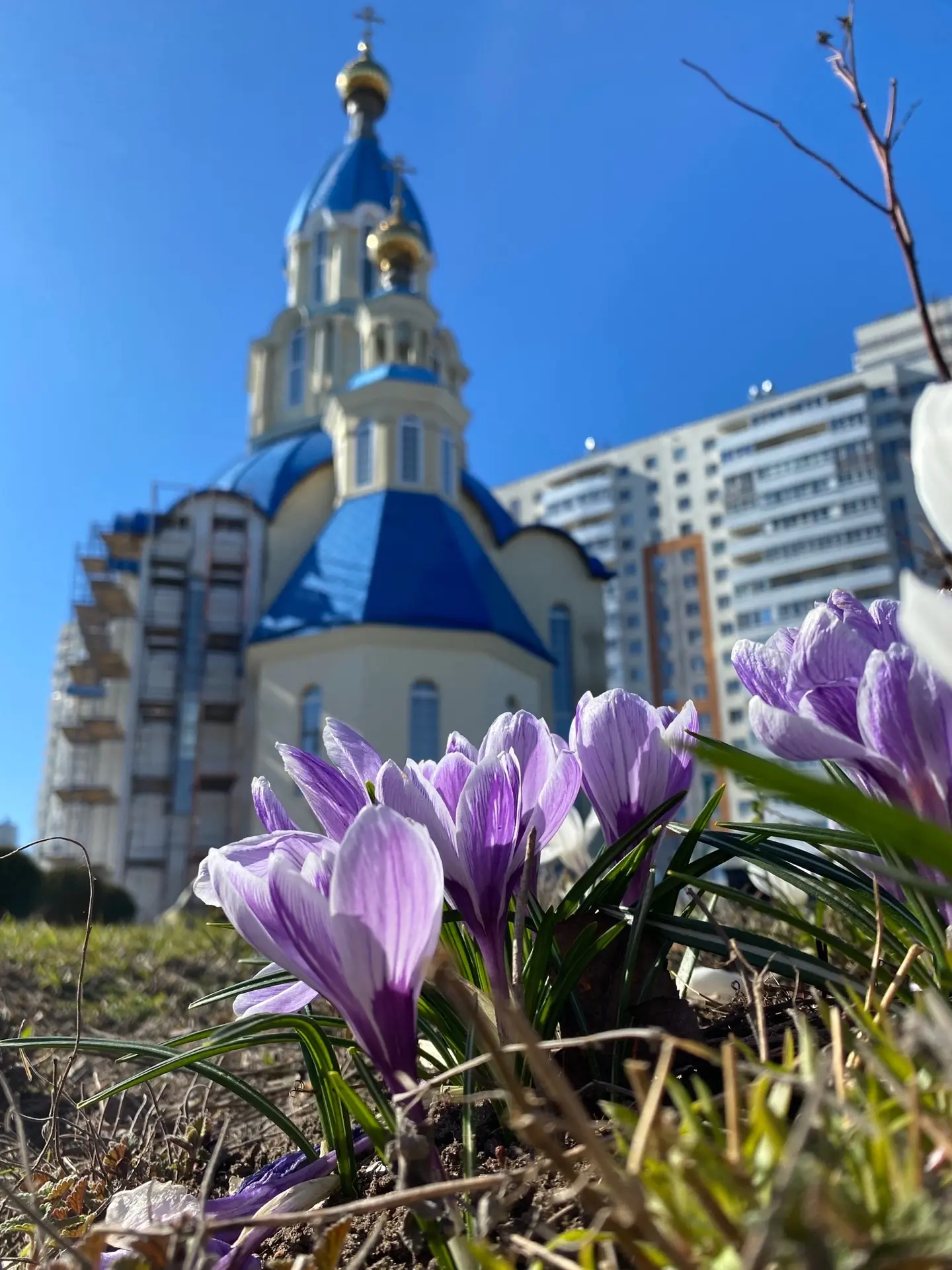 Со Светлой Пасхой