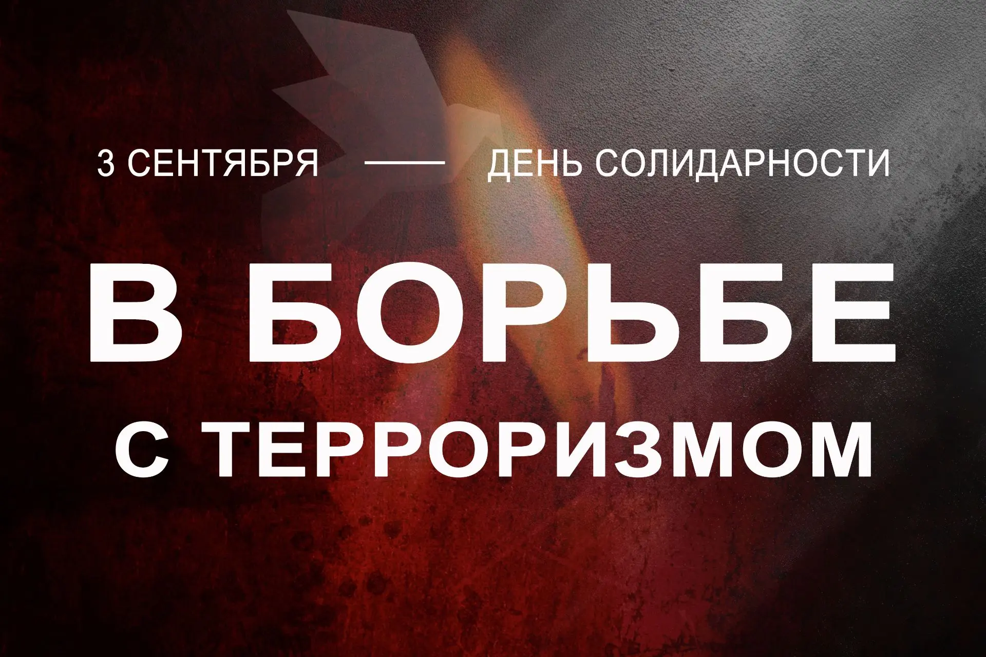 «Единство страны – это главное условие победы над террором, и без такого единства дости...