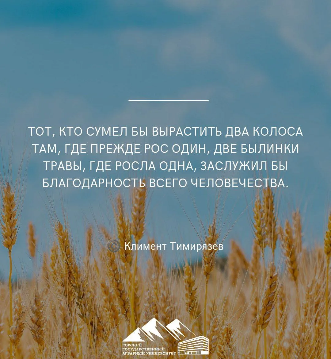 #цитатаГГАУ
