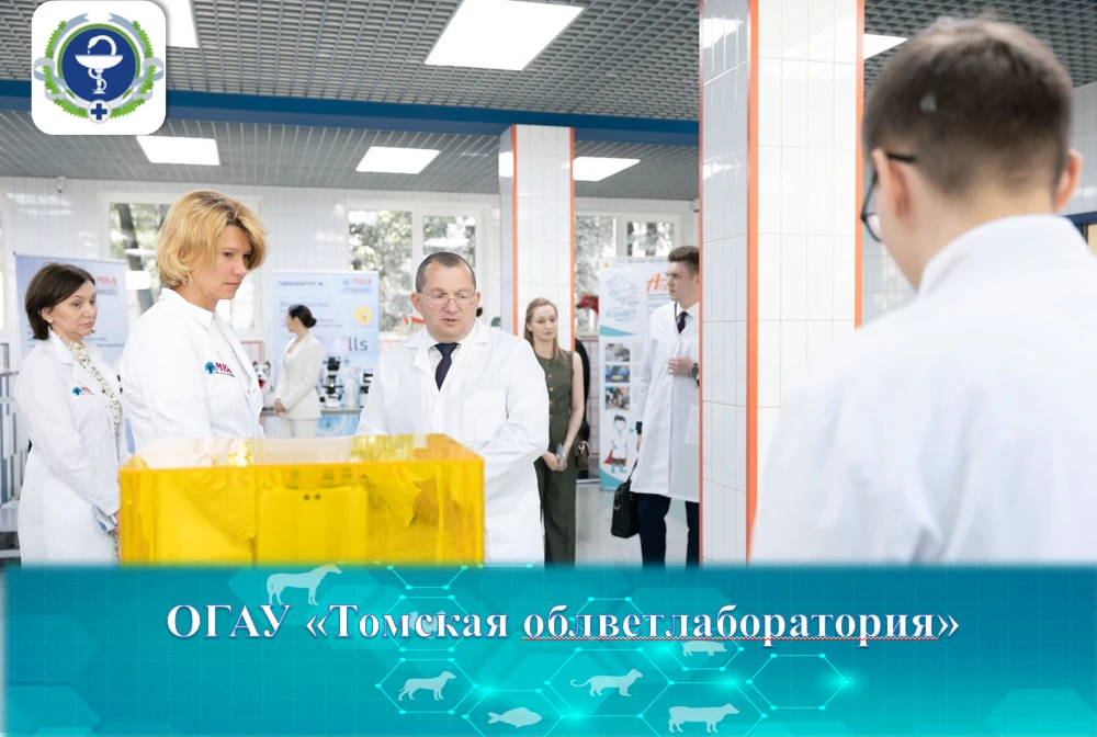 Московская государственная академия ветеринарной медицины и биотехнологии – МВА имени К...