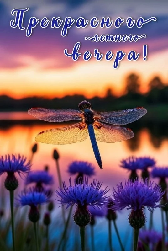 Открытки: подписаться ❤️