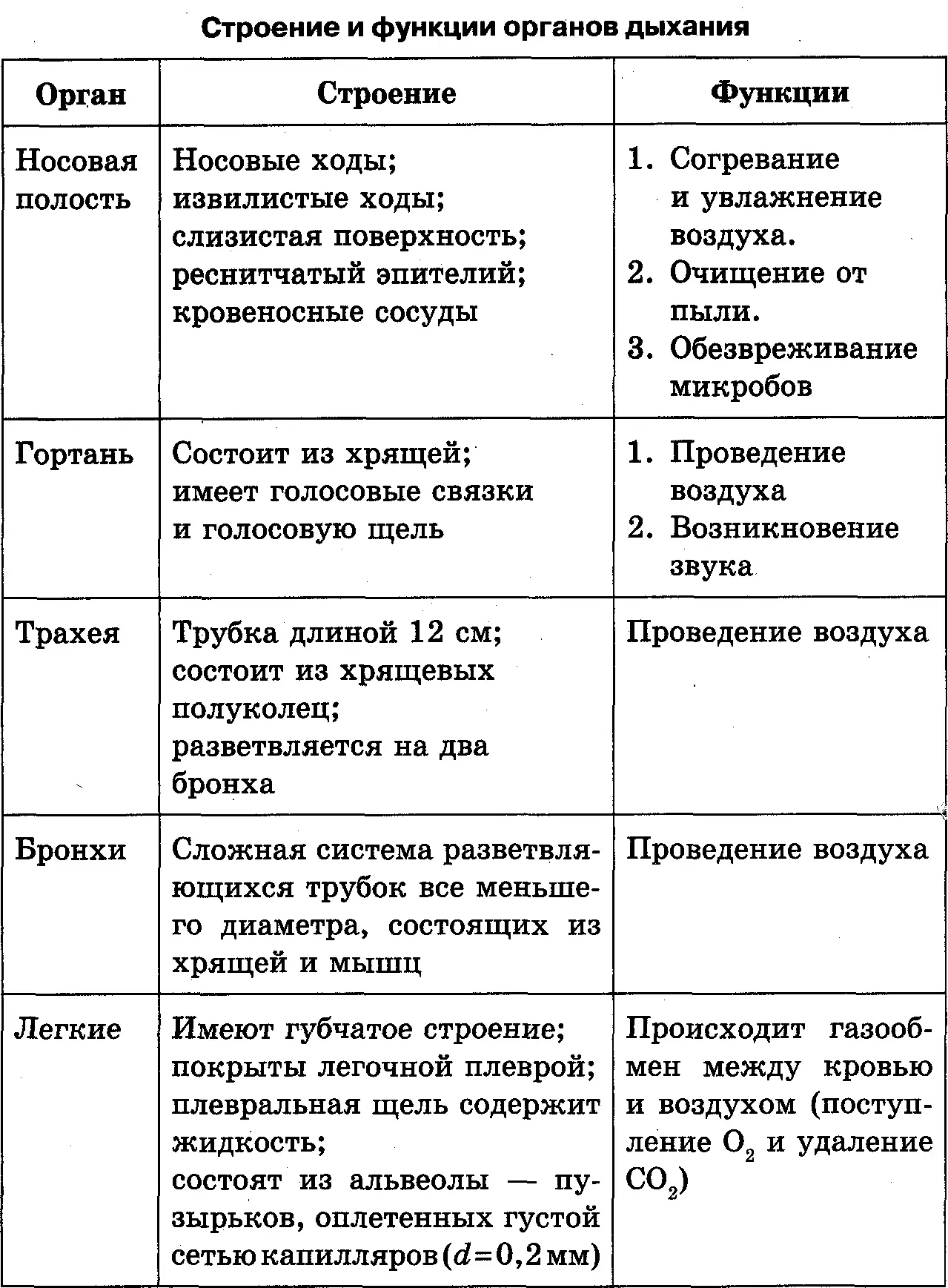 Строение и функции органов дыхания