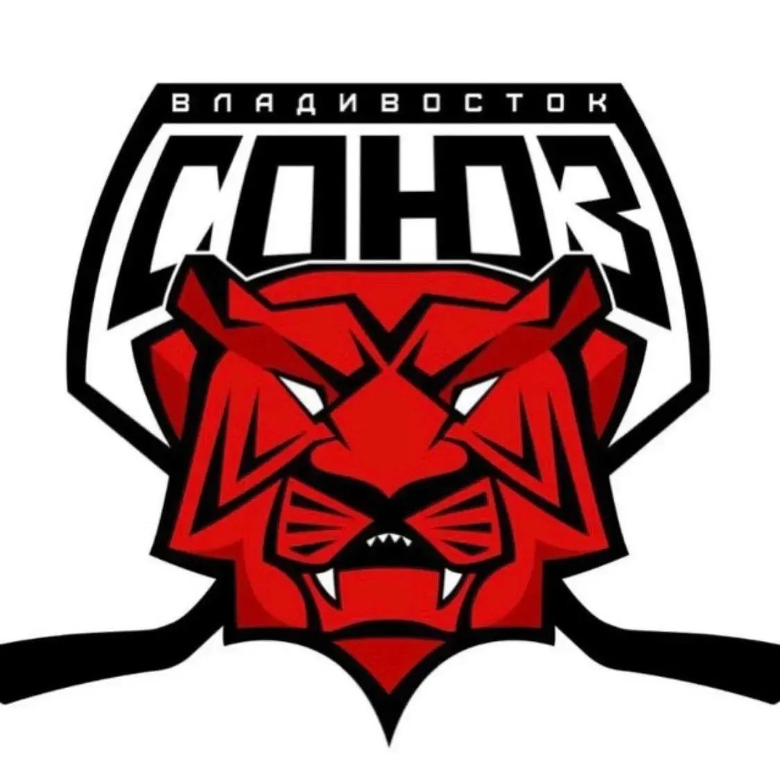 С днём рождения, ХК «Союз»! 🏒❄️