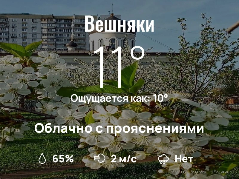 Что с погодой в Вешняках?