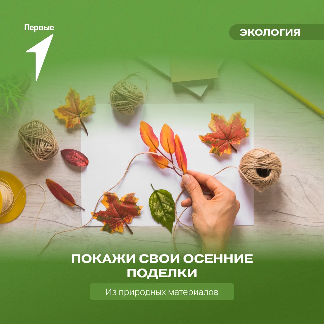 🍁 Вдохновляемся творчеством Первых!