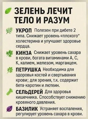 🌿Зелень лечит тело и разум