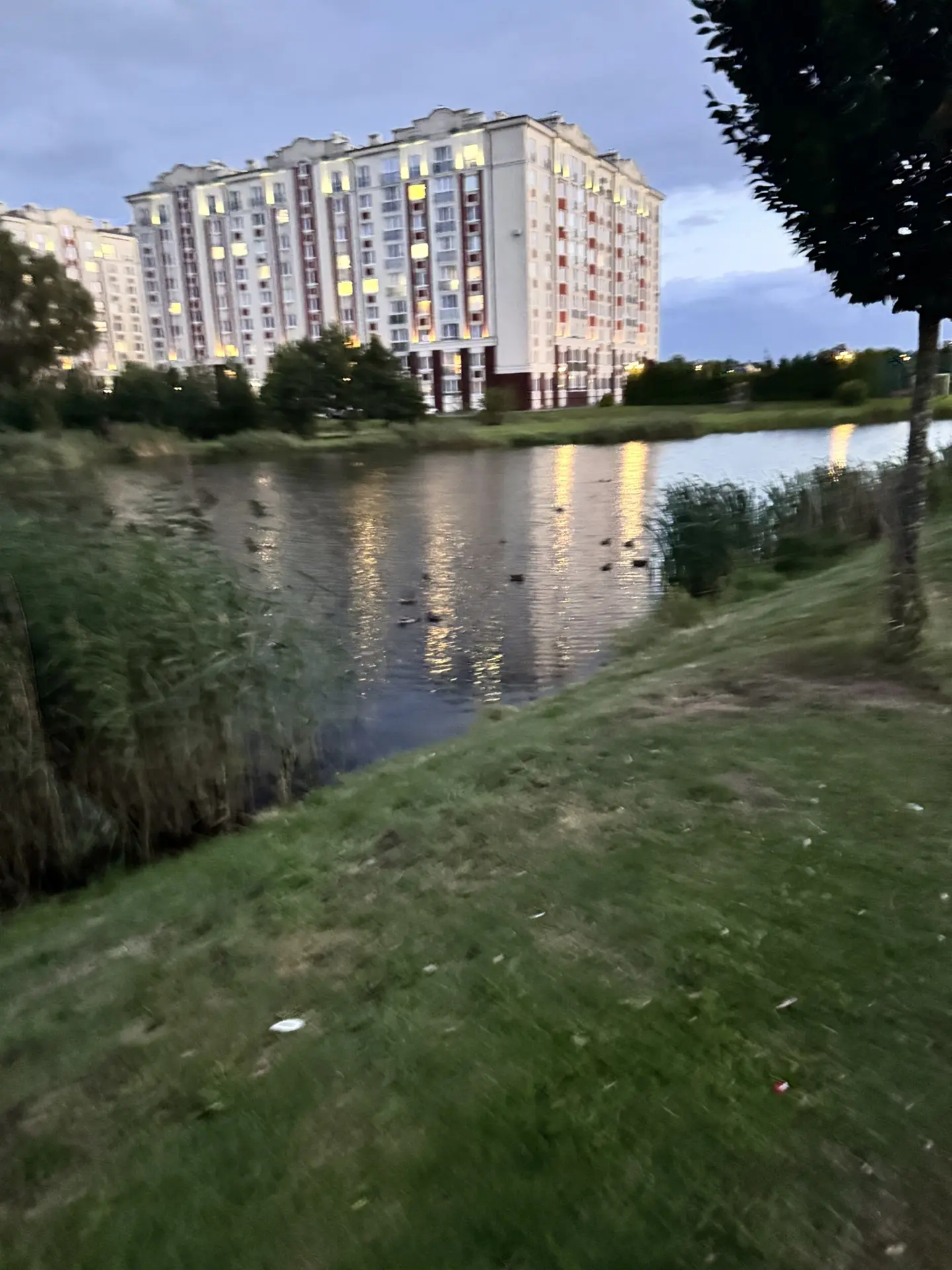 #ВечернийЗеленоградск