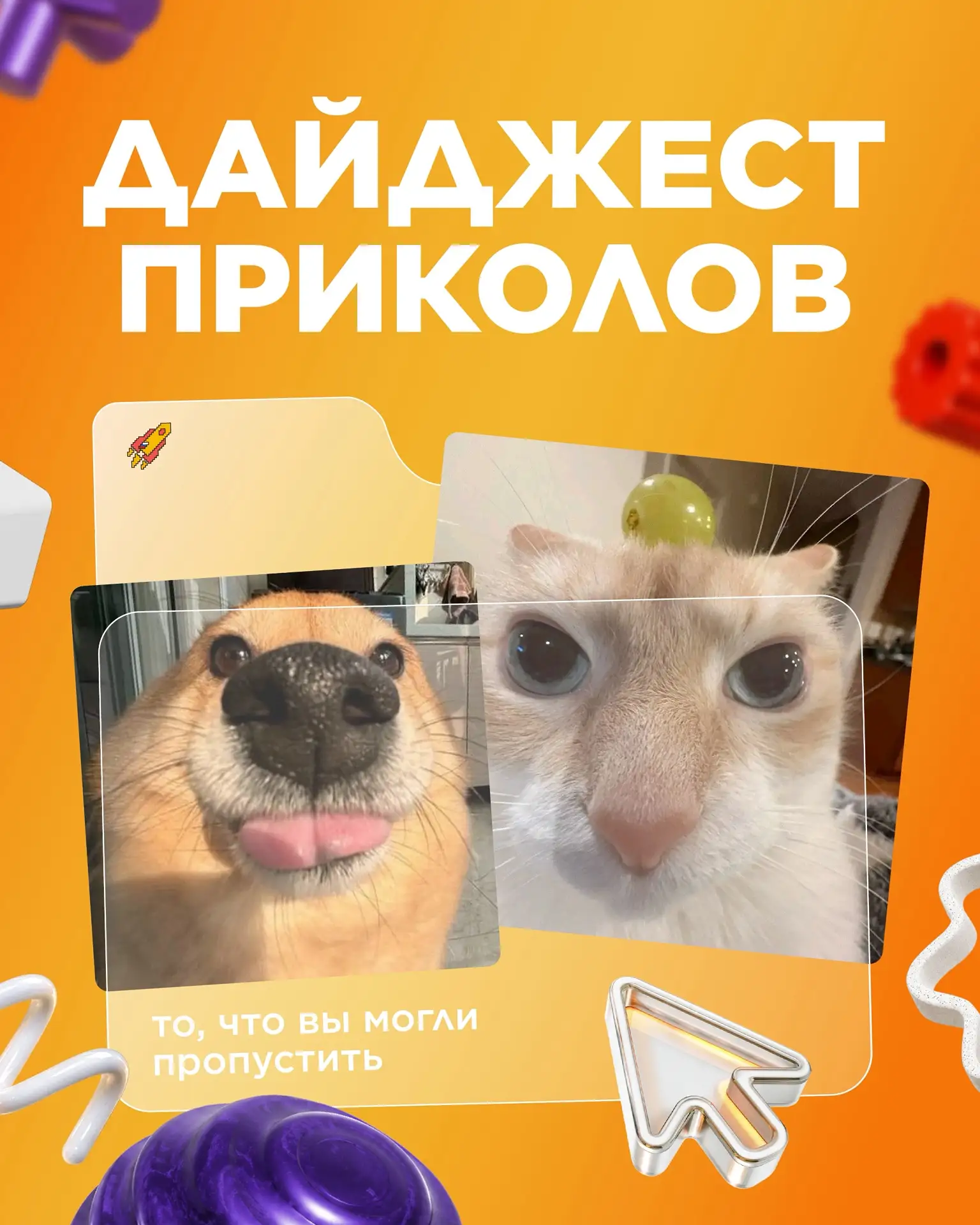 В этом сезоне мы с командой решили превзойти самих себя… 👀