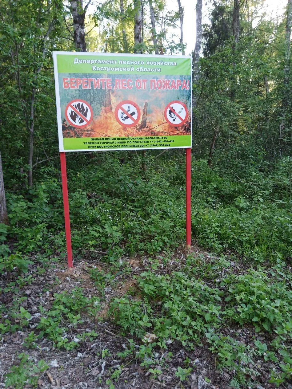 Профилактика лесных пожаров: сотрудники Костромского лесничества проводят усиленные рейды и беседы с