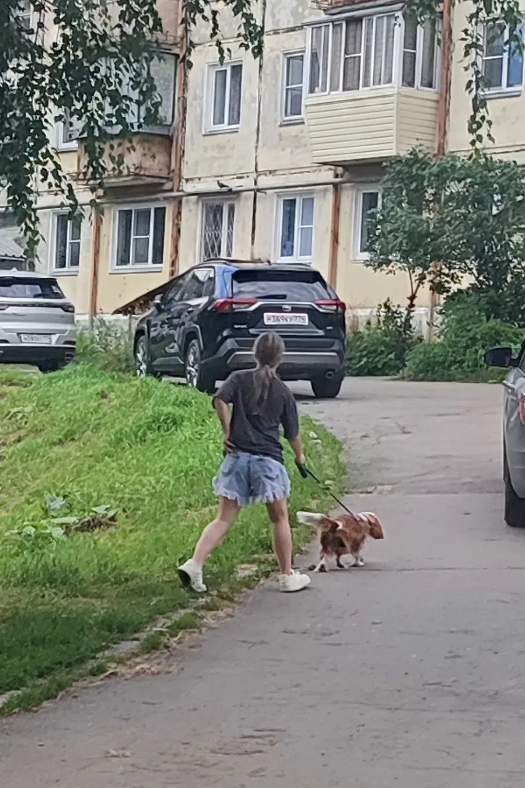 Чистота начинается с нас... Сегодня девочка с собакой гуляла во дворе Космонавтов 15, собака накакал