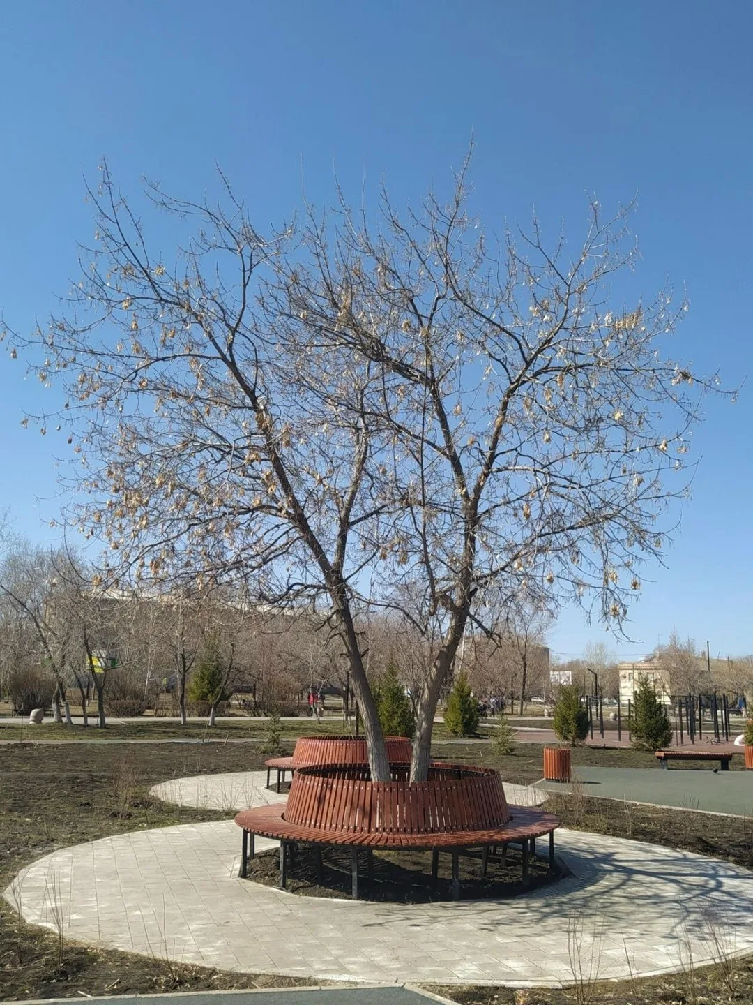 Присылайте Ваши фото в "Предложить пост"