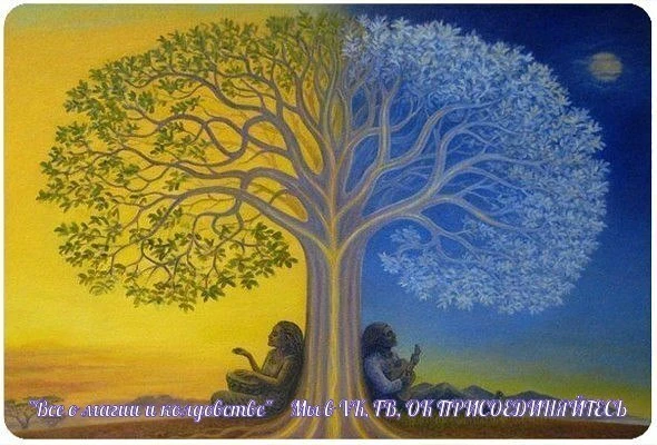 КАК ПРАВИЛЬНО НАЧАТЬ ИЛИ ЗАВЕРШИТЬ ДЕНЬ