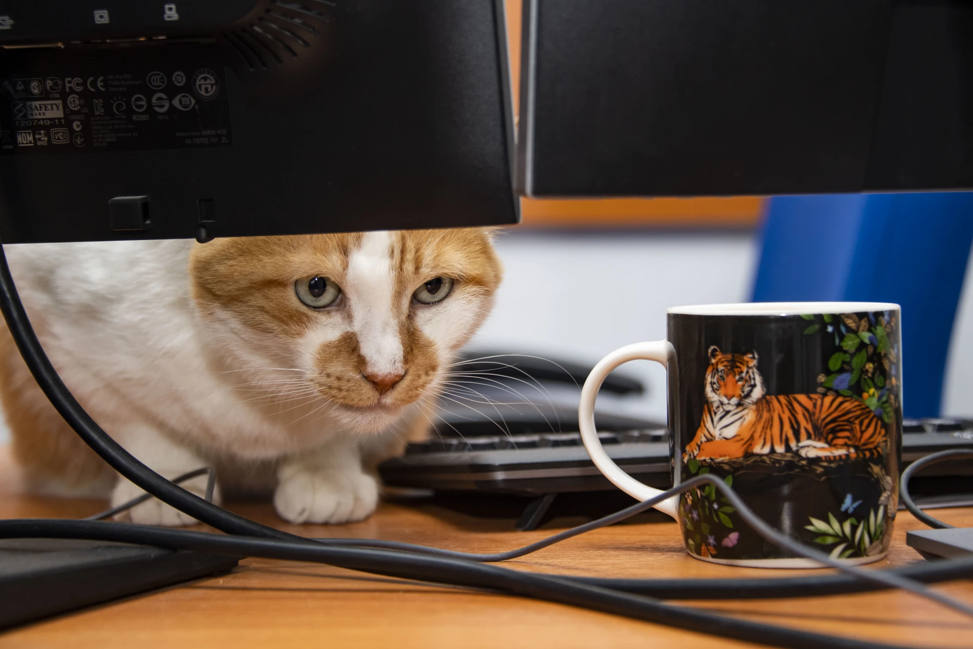 😻Коллеги, понимаю - пятница, но это не повод расслабляться раньше времени.
