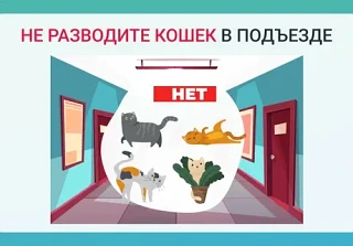 Уважаемые жильцы!
Управляющая организация ООО "КОМПЛЕКС" напоминает о недопустимости прикармливания 